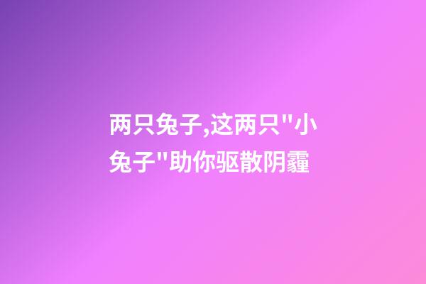 两只兔子,这两只"小兔子"助你驱散阴霾-第1张-观点-玄机派